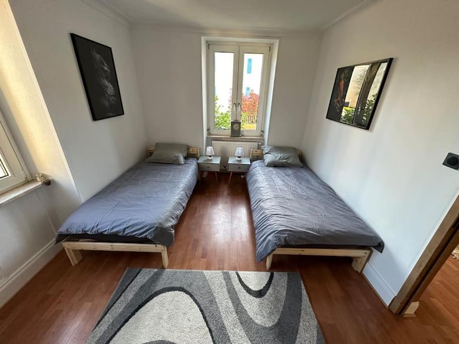 Magnifique Appartement F3. 4 A 6 Personnes Lutterbach Exterior photo